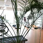 Szepia Bio And Art Hotel