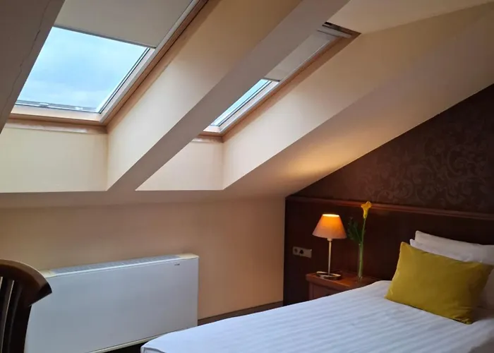 Szepia Bio And Art Hotell 4*