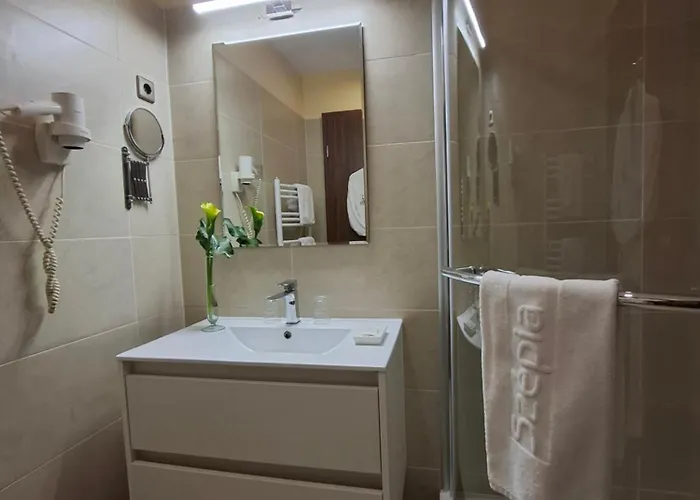 Hotell Szepia Bio And Art 4*