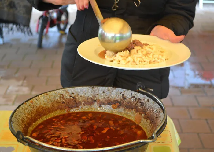 Hotel Szepia Bio And Art